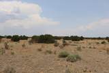  Black Diamond Park Lot 11 - Photo 11