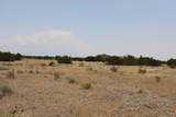  Black Diamond Park Lot 11 - Photo 12