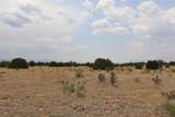  Black Diamond Park Lot 11 - Photo 13