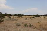  Black Diamond Park Lot 11 - Photo 14