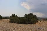  Black Diamond Park Lot 11 - Photo 16