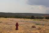  Black Diamond Park Lot 11 - Photo 17