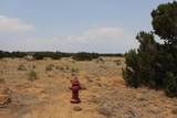  Black Diamond Park Lot 11 - Photo 2