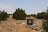  Black Diamond Park Lot 11 - Photo 5