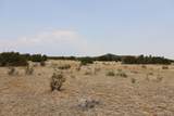  Black Diamond Park Lot 11 - Photo 6
