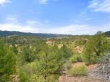 TBD San Juan Mesa Trail - Photo 10