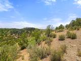 TBD San Juan Mesa Trail - Photo 11