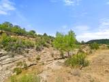 TBD San Juan Mesa Trail - Photo 13