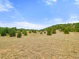 TBD San Juan Mesa Trail - Photo 14