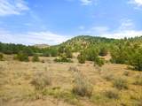 TBD San Juan Mesa Trail - Photo 15
