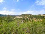TBD San Juan Mesa Trail - Photo 19