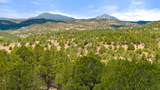TBD San Juan Mesa Trail - Photo 2