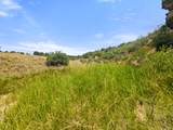 TBD San Juan Mesa Trail - Photo 4