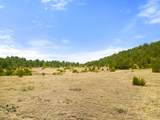 TBD San Juan Mesa Trail - Photo 6