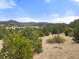 TBD San Juan Mesa Trail - Photo 9