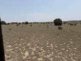 Lot 167 Tyrone Hills Ranch - Photo 12