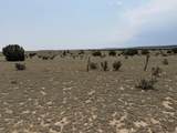 Lot 167 Tyrone Hills Ranch - Photo 13