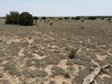Lot 167 Tyrone Hills Ranch - Photo 2