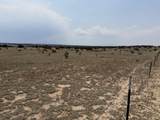 Lot 167 Tyrone Hills Ranch - Photo 4