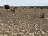 Lot 167 Tyrone Hills Ranch - Photo 7