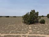 Lot 167 Tyrone Hills Ranch - Photo 9