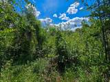 TBD Lot 19 Abeyta Creek Acres - Photo 6
