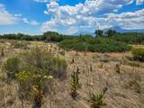 TBD Lot 19 Abeyta Creek Acres - Photo 7