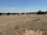 TBD Greenhorn Village 1 - Photo 8