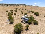 TBD County Road 78 - Photo 1