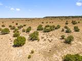 TBD County Road 78 - Photo 11