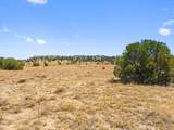 TBD County Road 78 - Photo 13