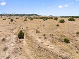 TBD County Road 78 - Photo 16