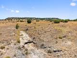 TBD County Road 78 - Photo 18