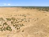 TBD County Road 78 - Photo 25