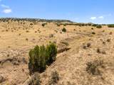 TBD County Road 78 - Photo 5