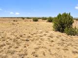 TBD County Road 78 - Photo 8