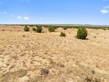 TBD County Road 78 - Photo 9