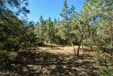 93 Blackhawk Ranch - Photo 27