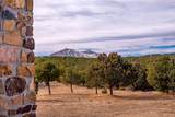 4451 Silver Spur Rd - Photo 39