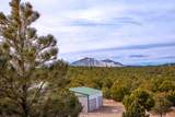 4451 Silver Spur Rd - Photo 41