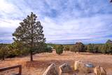 4451 Silver Spur Rd - Photo 44