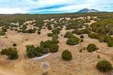 4451 Silver Spur Rd - Photo 45