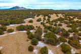 4451 Silver Spur Rd - Photo 46