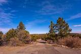 4451 Silver Spur Rd - Photo 53