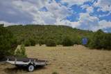 TBD La Veta Pines Ranch - Photo 10