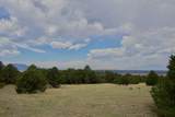 TBD La Veta Pines Ranch - Photo 11