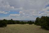 TBD La Veta Pines Ranch - Photo 12
