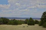 TBD La Veta Pines Ranch - Photo 13