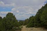 TBD La Veta Pines Ranch - Photo 16