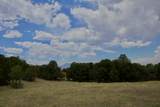 TBD La Veta Pines Ranch - Photo 17